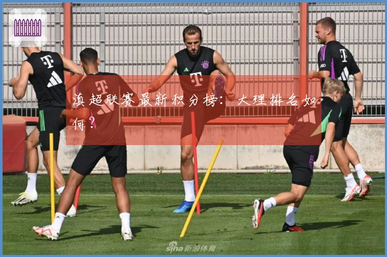 滇超联赛最新积分榜：大理排名如何？
